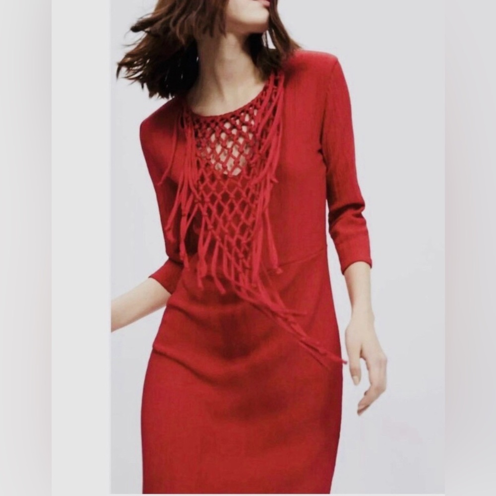 NWT Zara Long Sleeve Fringe Knit Midi Dress - Picture 7 of 12